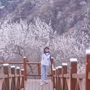 十三陵大岭沟猕猴桃谷自然风景区 - 北京市旅游 缩略图 8