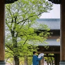 濮院时尚古镇 - 嘉兴市旅游 缩略图 8
