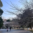 青岛山一战遗址公园 - 青岛市旅游 缩略图 9