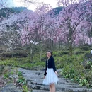 吴家后山辛夷休闲山庄 - 绵阳市旅游 缩略图 1
