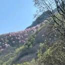 吴家后山辛夷休闲山庄 - 绵阳市旅游 缩略图 3