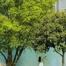 秦皇湖 - 成都旅游 缩略图 2