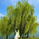 秦皇湖 - 成都旅游 缩略图 4