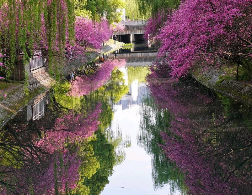文菁路与高木桥路交叉口 - 杭州市旅游 1