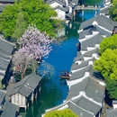 乌镇西栅景区1号游客服务中心 - 嘉兴市旅游 缩略图 1