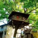 乌镇西栅景区1号游客服务中心 - 嘉兴市旅游 缩略图 9