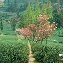 拔山登山道停车场 - 杭州市旅游 缩略图 3