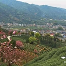 拔山登山道停车场 - 杭州市旅游 缩略图 5