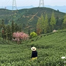 拔山登山道停车场 - 杭州市旅游 缩略图 1