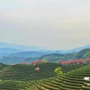 拔山登山道停车场 - 杭州市旅游 缩略图 9