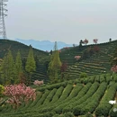 拔山登山道停车场 - 杭州市旅游 缩略图 8