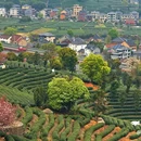 拔山登山道停车场 - 杭州市旅游 缩略图 6