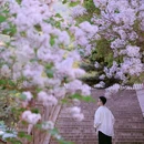 戒台寺 - 北京市旅游 缩略图 2