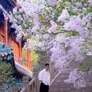戒台寺 - 北京市旅游 缩略图 1