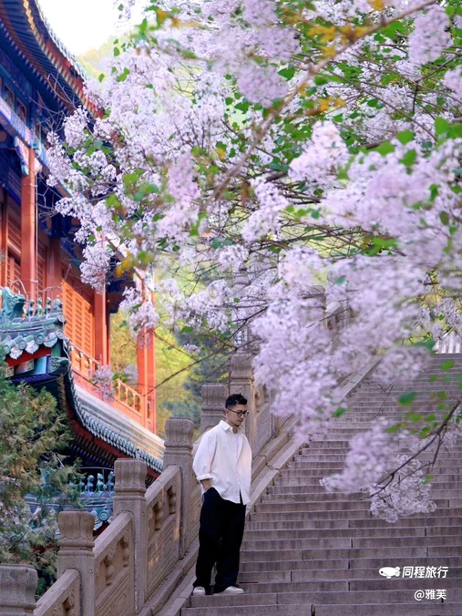 戒台寺 - 北京市旅游