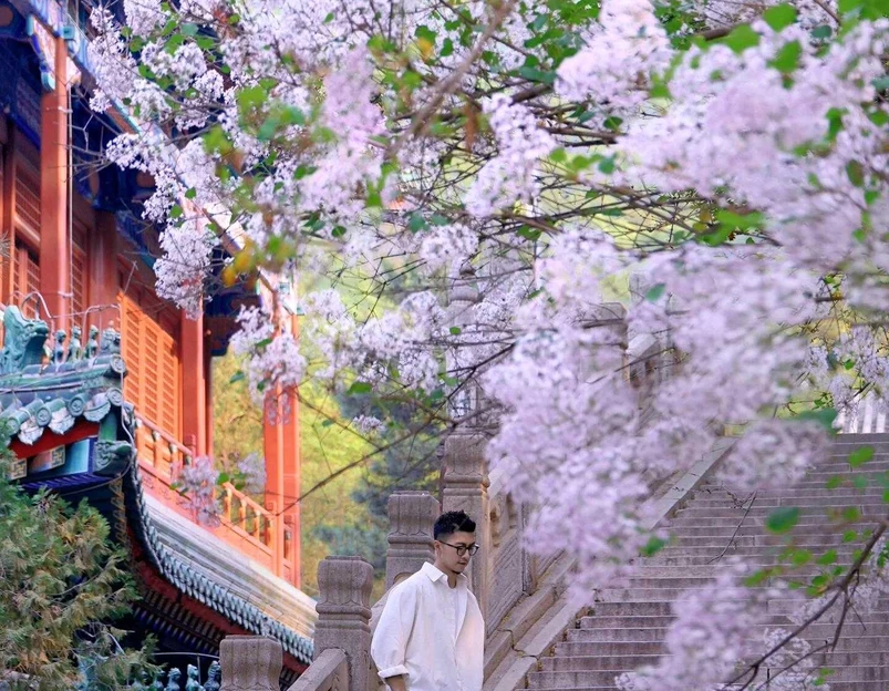 戒台寺 - 北京市旅游 1