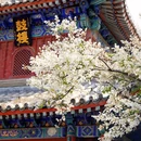 戒台寺 - 北京市旅游 缩略图 5