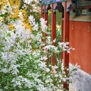 戒台寺 - 北京市旅游 缩略图 3