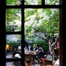 戒台寺 - 北京市旅游 缩略图 6