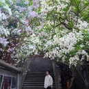 戒台寺 - 北京市旅游 缩略图 7