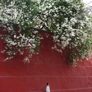 戒台寺 - 北京市旅游 缩略图 8