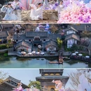 江苏省金坛茅山旅游度假区 - 常州市旅游 缩略图 7