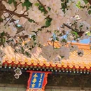 北京市朝阳公园 - 北京市旅游 缩略图 2
