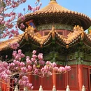北京市朝阳公园 - 北京市旅游 缩略图 1