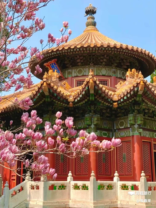 北京市朝阳公园 - 北京市旅游