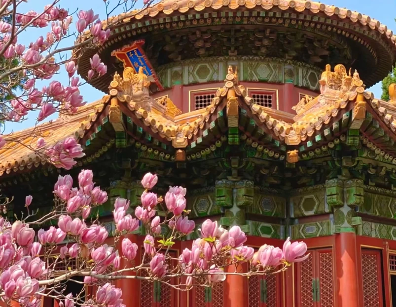 北京市朝阳公园 - 北京市旅游 1
