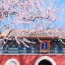 北京市朝阳公园 - 北京市旅游 缩略图 3