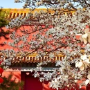 北京市朝阳公园 - 北京市旅游 缩略图 8