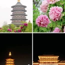 洛阳龙门站 - 洛阳市旅游 缩略图 4