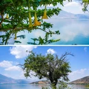 双廊古镇 - 大理白族自治州旅游 缩略图 2