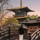 上海佘山国家旅游度假区 - 上海市旅游 缩略图 5