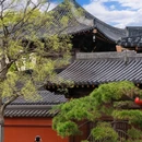 上海佘山国家旅游度假区 - 上海市旅游 缩略图 6