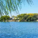 鲁迅故里景区 - 绍兴市旅游 缩略图 4