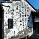 鲁迅故里景区 - 绍兴市旅游 缩略图 6