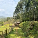 山涧别院 - 成都市旅游 缩略图 2
