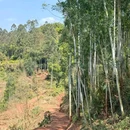 山涧别院 - 成都市旅游 缩略图 3