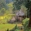 山涧别院 - 成都市旅游 缩略图 6