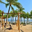 红树林海滨生态公园 - 深圳旅游 缩略图 2