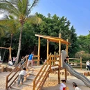 红树林海滨生态公园 - 深圳旅游 缩略图 1