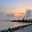 红树林海滨生态公园 - 深圳旅游 缩略图 8