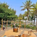 红树林海滨生态公园 - 深圳旅游 缩略图 9