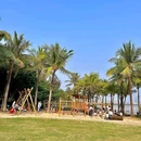 红树林海滨生态公园 - 深圳旅游 缩略图 6