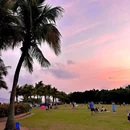 红树林海滨生态公园 - 深圳旅游 缩略图 7