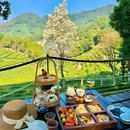 莫干山风景名胜区 - 湖州市旅游 缩略图 2