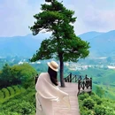 莫干山风景名胜区 - 湖州市旅游 缩略图 8