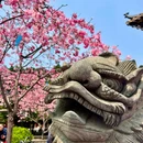 宝墨园景区 - 广州市旅游 缩略图 4